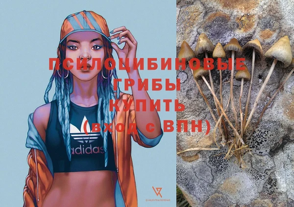 прущая мука Бородино