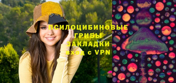 ПСИЛОЦИБИНОВЫЕ ГРИБЫ Бронницы