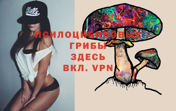 ПСИЛОЦИБИНОВЫЕ ГРИБЫ Бронницы