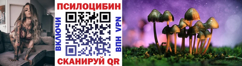 где купить наркотик  Дмитровск  Псилоцибиновые грибы Psilocybe 